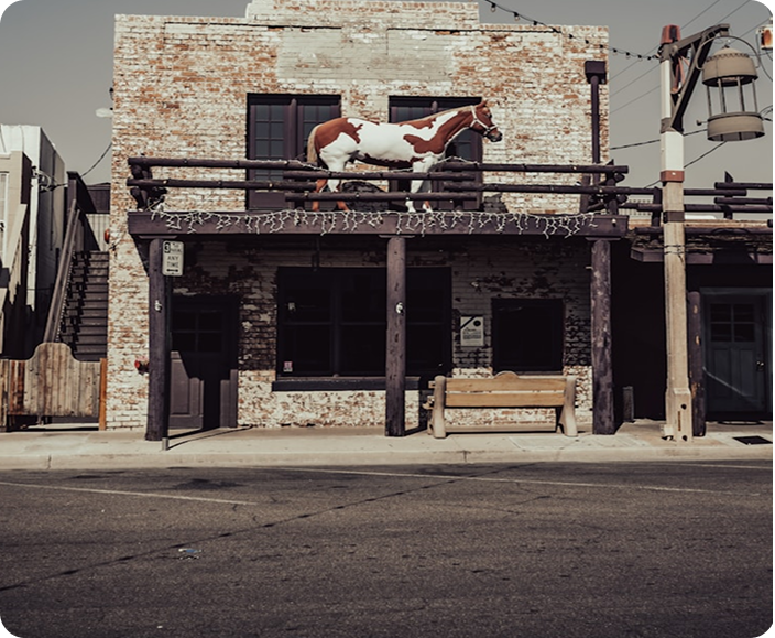 Why Western Horse Owners Deserve Better